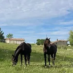 Horse And Hideaway
