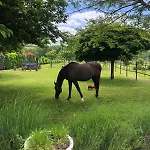 Semesterbostad Horse And Hideaway