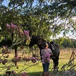 Horse And Hideaway Semesterbostad