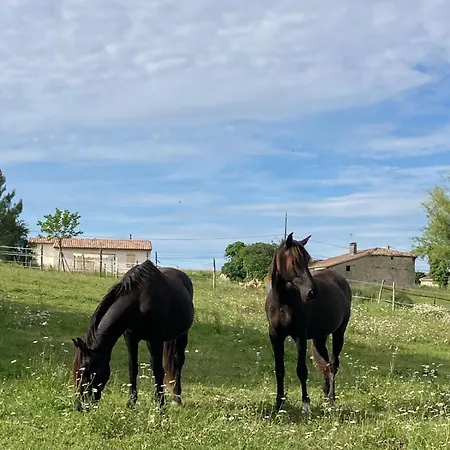 Horse And Hideaway