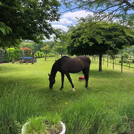 Holiday home Horse And Hideaway