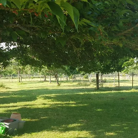 Horse And Hideaway 度假居 *