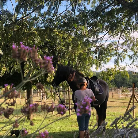 Horse And Hideaway 度假居